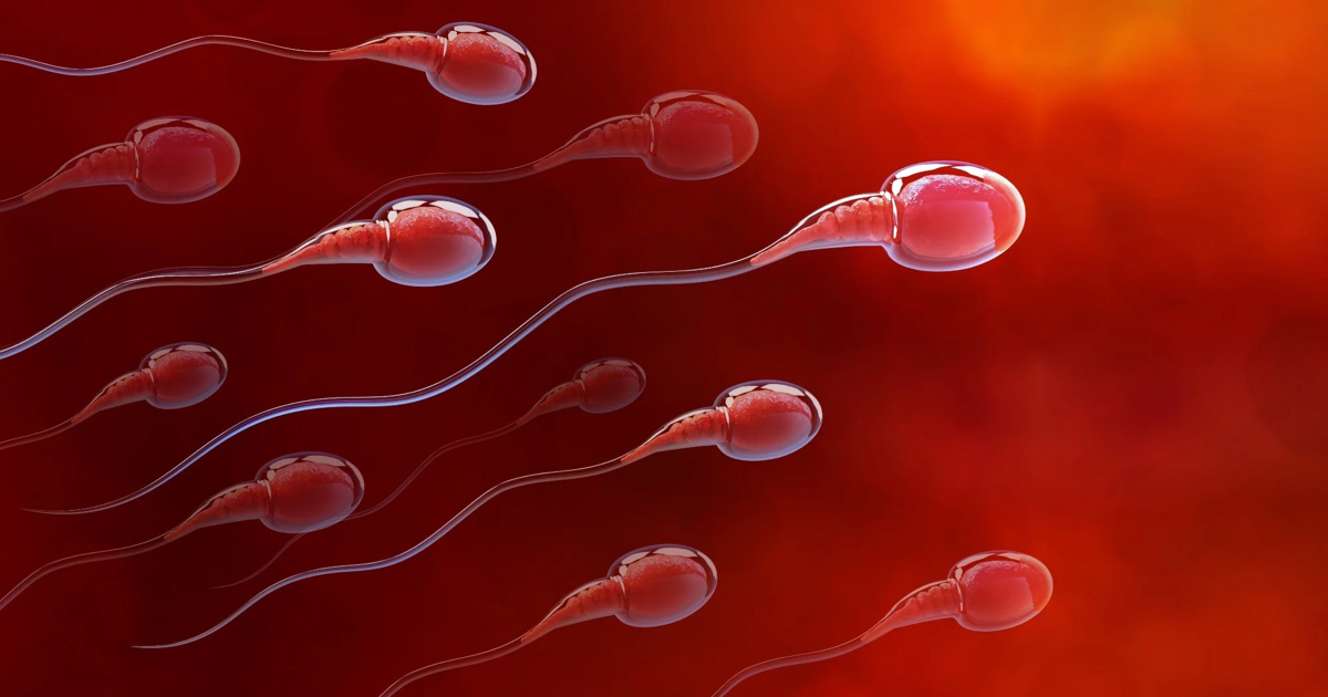 Sperm Detoksunun Faydaları Nelerdir?