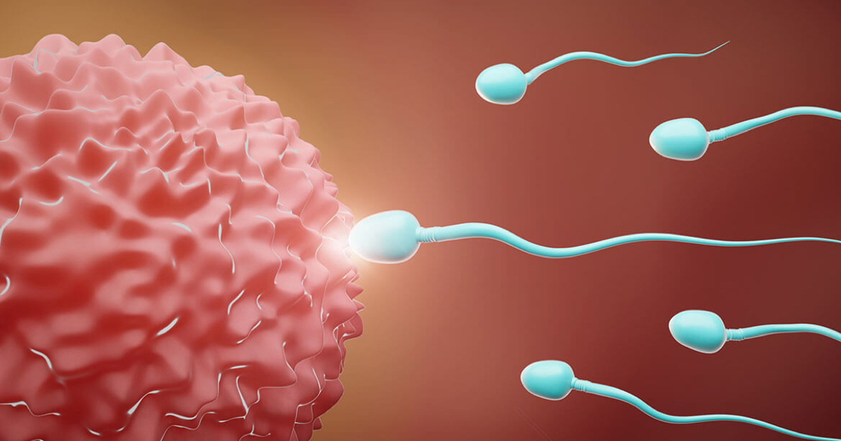 Gebelik İçin Erkeklerde Sperm Sayısı Kaç Olmalı?